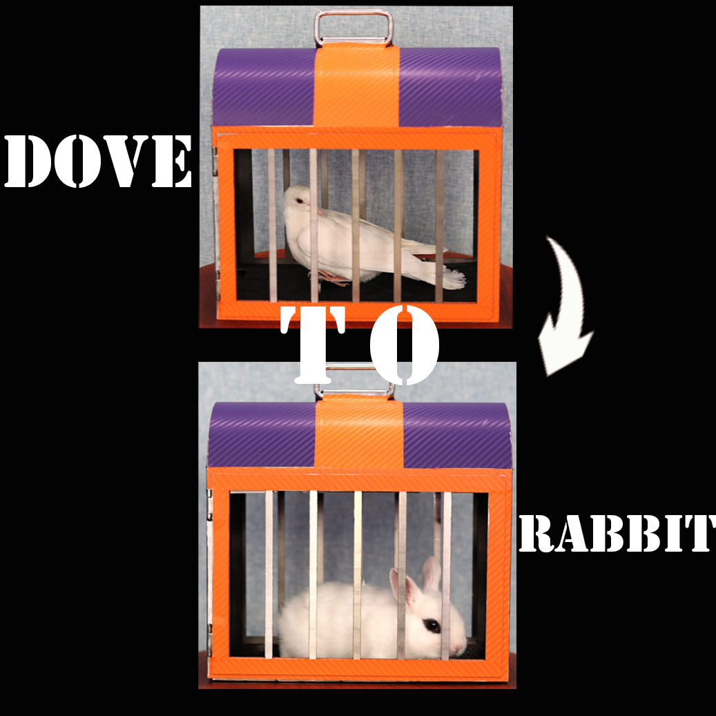 Dove to Rabbit – Visual Stage Illusion Prop
