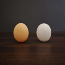 Fake Egg with Hole (Silk to Egg)