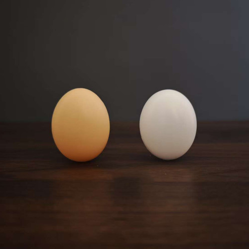 Fake Egg with Hole (Silk to Egg)
