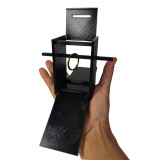 The Pandora's Box by J.C Magic