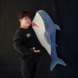 Appearing Shark by J.C Magic