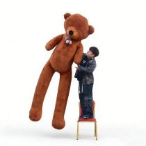 Appearing Teddy Bear by J.C Magic