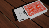 * WAKEN PRO by ZF Magic