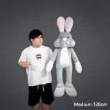 Appearing Rabbit V2 by J.C Magic