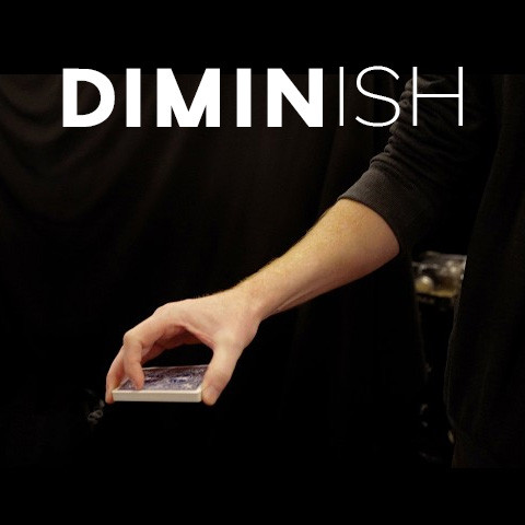 Diminish by Damian Surr