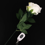 Three-Color Light Rose (Remote Control)