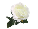 Three-Color Light Rose (Remote Control)