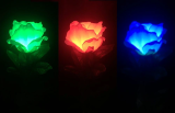 Three-Color Light Rose (Remote Control)
