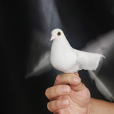 Electronic Bionic Dove 2.0 by J.C Magic