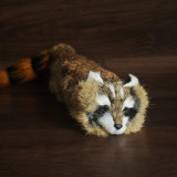 Electric Water-Spraying Raccoon by J.C Magic