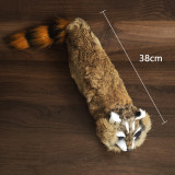 Electric Water-Spraying Raccoon by J.C Magic