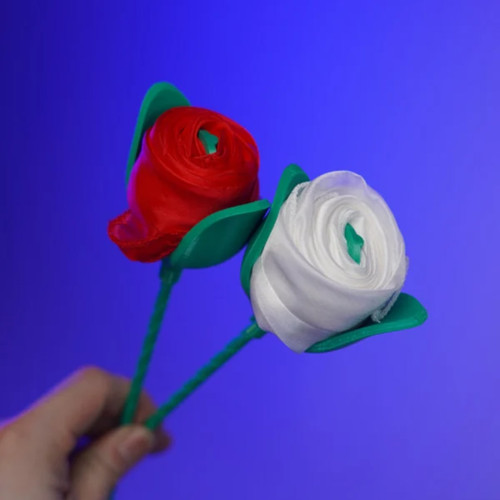 Silky Rose 2.0