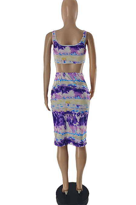 Fashion Print Bind Skirt Two-Piece SQ937