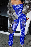 Sexy Net Yarn Spliced Printing Two-Pieces QMQ7017