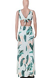 Sexy Euramerican Digital Printing Open Fork Backless Deep V Long Dress K8306