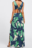 Sexy Euramerican Digital Printing Open Fork Backless Deep V Long Dress K8306