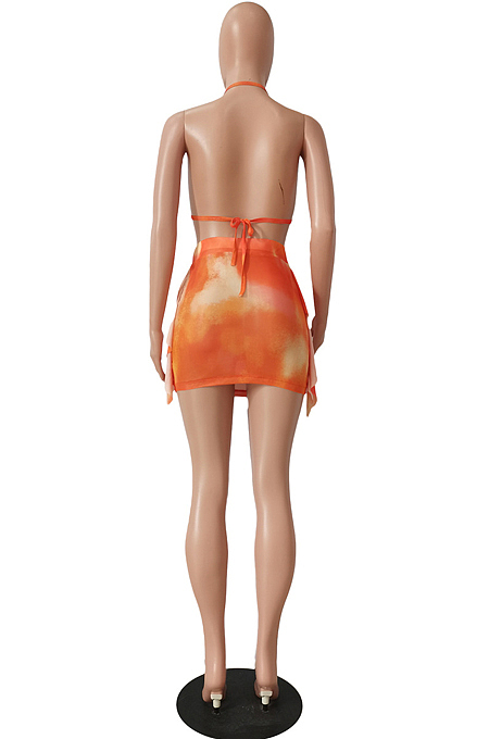 Tie Dye Print Sexy Net Yarn Bikini Two-Piece CM2109