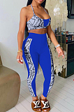 Fashion Sling Boob Tube Top Positioning Print Two-Piece KK8246