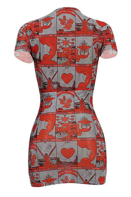 Fashion Sexy Printing Net Yarn Mini Dress FFE092