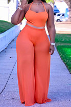 Sexy Net Yarn Pure Color Gallus Two-Pieces AYW8013