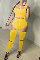 Fashion Sexy Prue Color Vest Hole Hlole Pants Two-Piece LYY9296