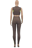 Fashion Casual Deep V Positioning Print Two-Piece PQ8027