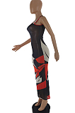 Women Perspective Print Net Yarn Long Dress SQ956