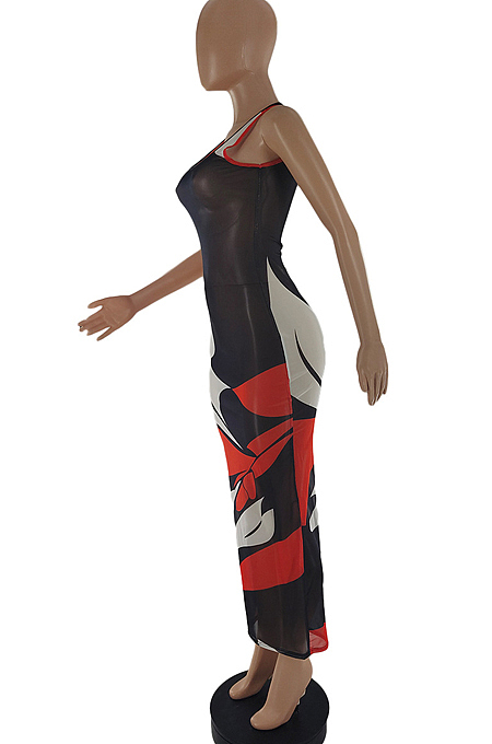 Women Perspective Print Net Yarn Long Dress SQ956