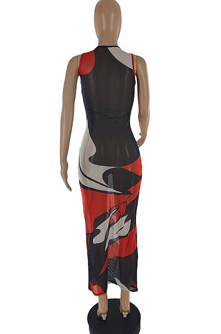Women Perspective Print Net Yarn Long Dress SQ956