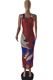 Women Perspective Print Net Yarn Long Dress SQ956
