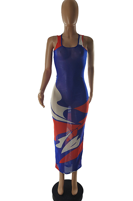 Women Perspective Print Net Yarn Long Dress SQ956