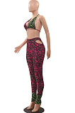 Summer Fashion Print Bikini Casual Sets LSZ9078