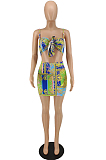 Summer Fashion Print Bind Two-Piece QL1009