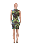 Fashion Mesh Print Sexy Mini Dress  AMX6009
