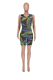 Fashion Mesh Print Sexy Mini Dress  AMX6009