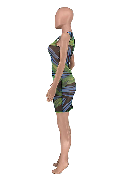 Fashion Mesh Print Sexy Mini Dress  AMX6009