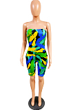 Fashion Casual Print Boob Tube Top Three Color Jumpsuits T3417