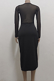 Sexy Net Yarn Perspective Stretch Long Sleeve Dress SMR10055