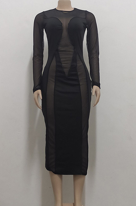 Sexy Net Yarn Perspective Stretch Long Sleeve Dress SMR10055