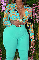 Fashion Sexy Printing Long Sleeve Shirts BLE2372