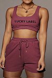 Fashion Letter Embroidered Vest Sports Sets YT3272