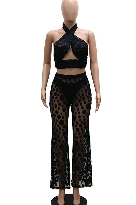 White Polka Dot Mesh Sexy Pants Sets YF9096-2