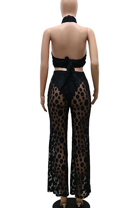 White Polka Dot Mesh Sexy Pants Sets YF9096-2