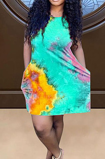 Lake Green Positioning Print Cute Round Neck Sleeveless Loose Dress F88374-5
