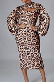 Leopard Print Autumn Long Sleeve Slim Fitting Bodycon Dress E8607