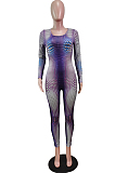 Cyan Positioning Print Round Neck Back Stealth Zipper Long Sleeve Bodycon Jumpsuits WY6827-4