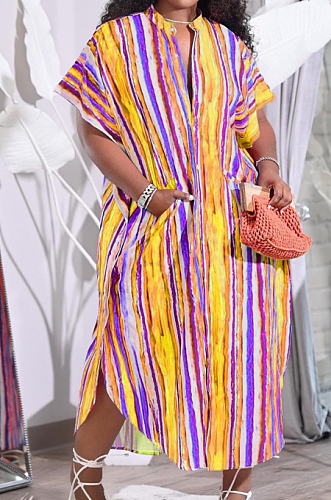 Colorful Print Colour Bar Loose Pocket Round Neck Single Breasted Shirt Dress NRS8076-3