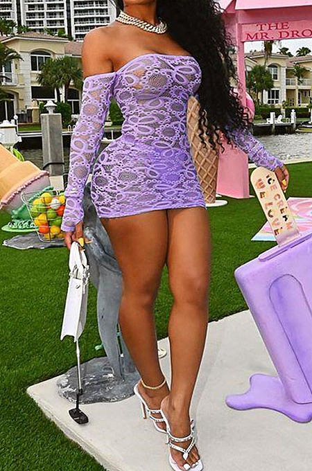 Light Purple Perspective Mesh Sexy Strapless Long Sleeve Bodycon Mini Dress DN8625-3