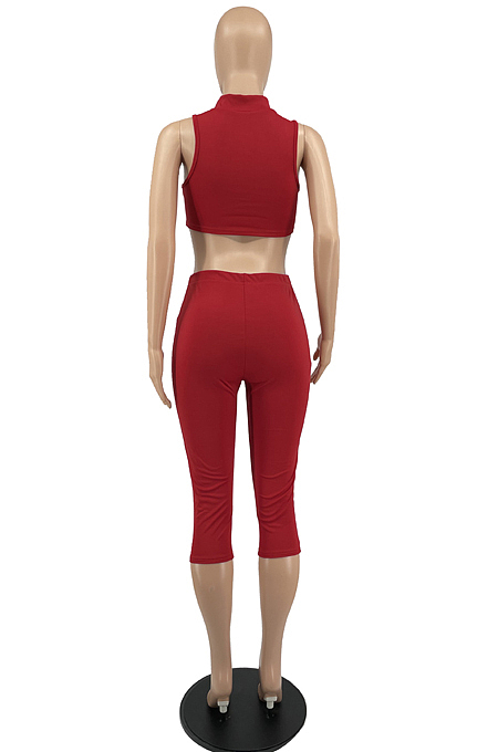 White Half High Neck Sleeveless Hollow Out Elastic Cropped Pants Pure Color Sets YYF8232-1
