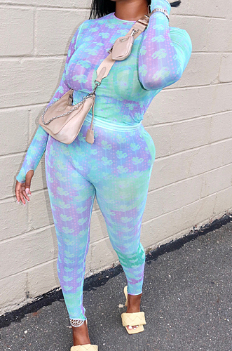 Purple Cotton Blend Print Round Collar Long Sleeve Capris Pants Casual Two-Piece JH269-1 